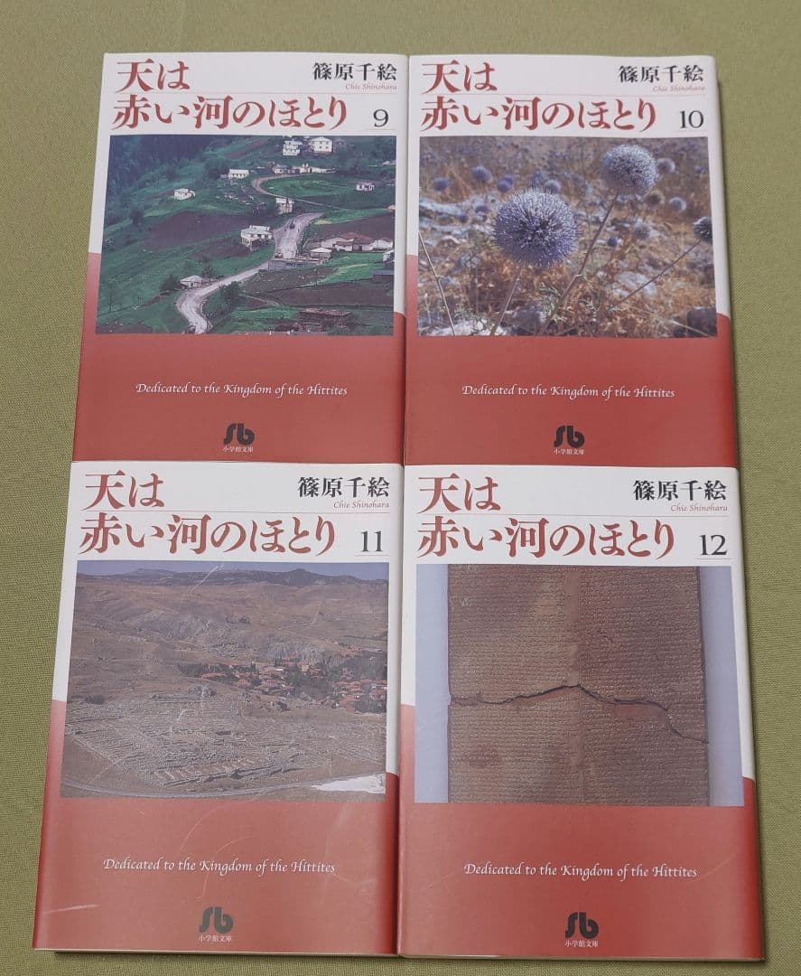 天は赤い河のほとり 全巻