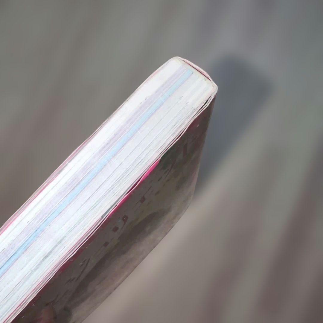 キミにはないしょ！絶対好きにならない同盟 時間割男子 スターツ文庫 27冊