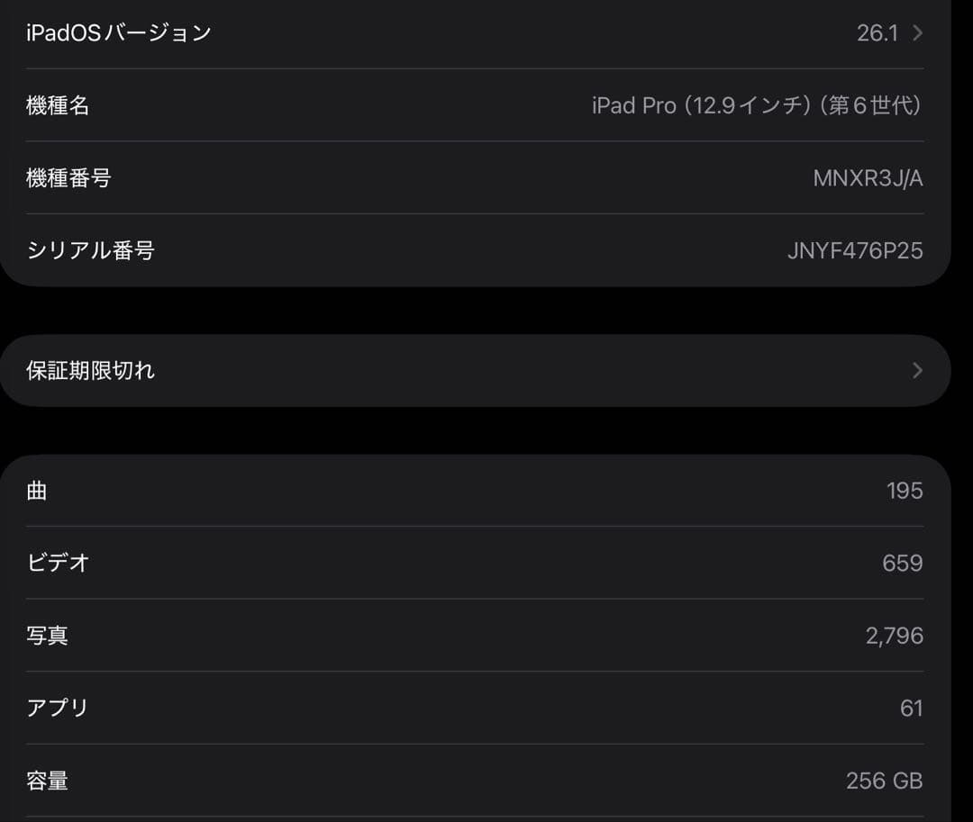 iPad Pro (12.9インチ) 第6世代 256GB