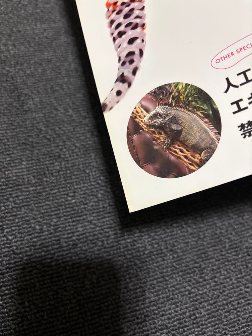 REPEAN vol.1〜13 セット　爬虫類　両生類