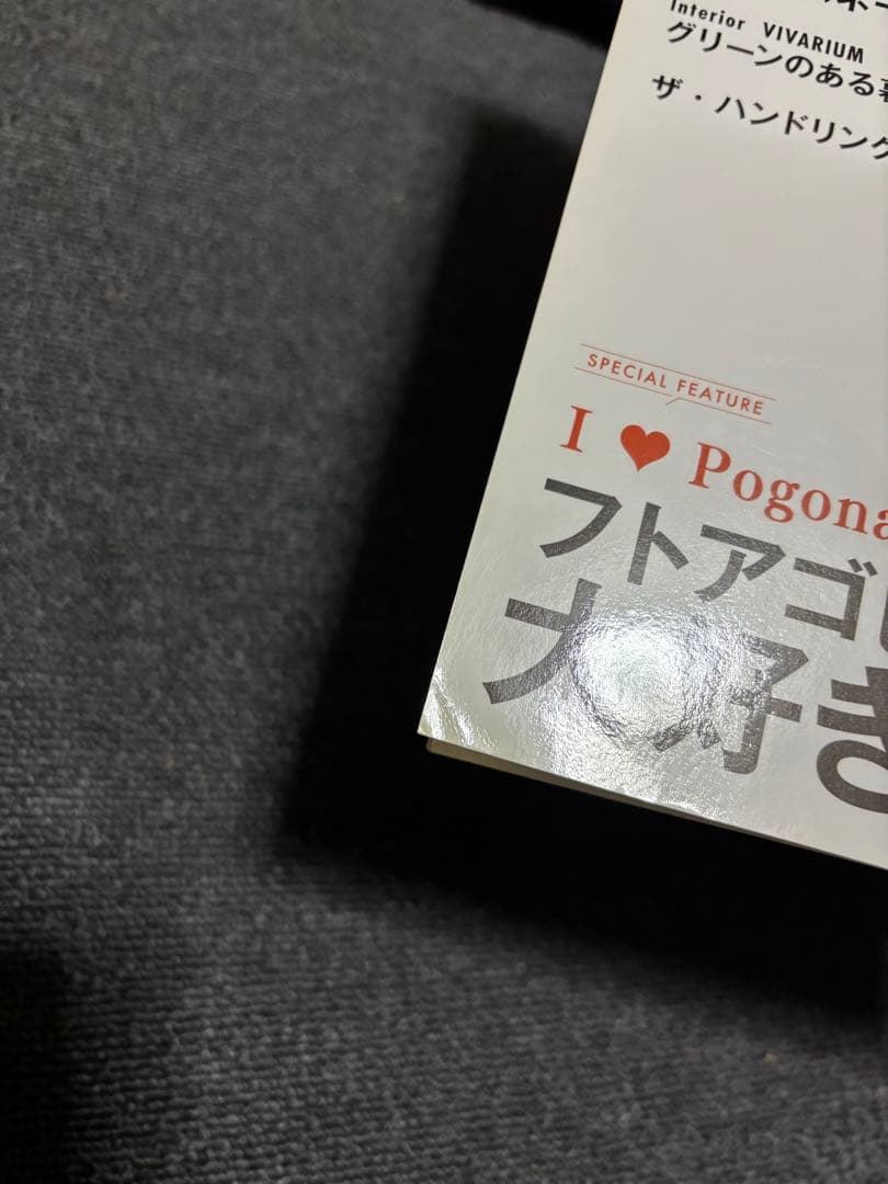 REPEAN vol.1〜13 セット　爬虫類　両生類