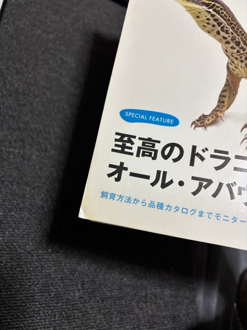 REPEAN vol.1〜13 セット　爬虫類　両生類