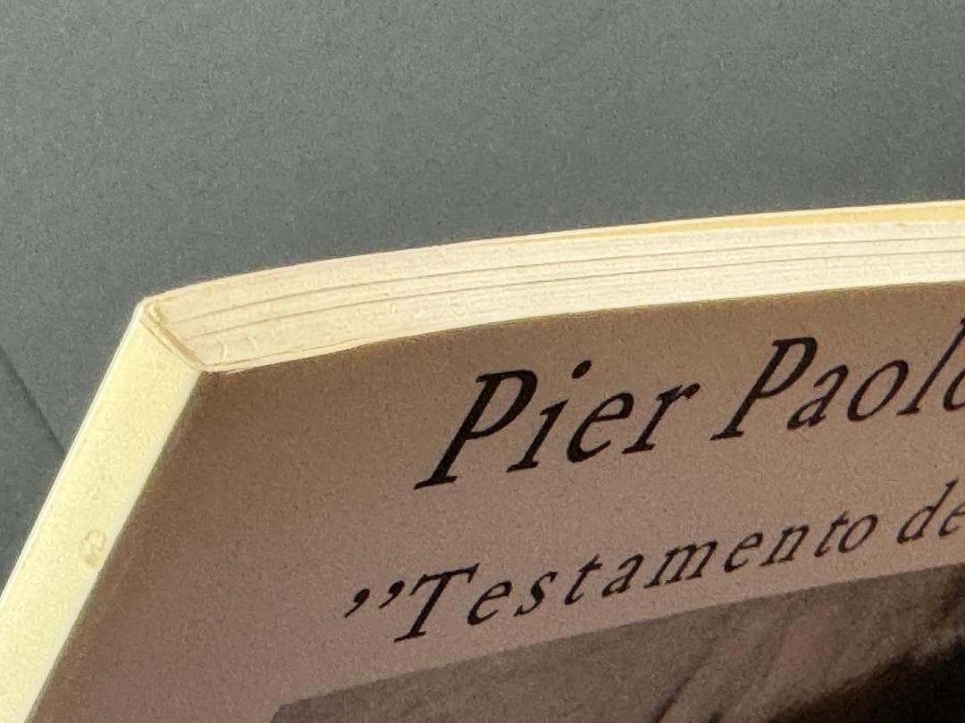 アート・デザイン・音楽 Pier Paolo Pasolini Testamento del Corpo