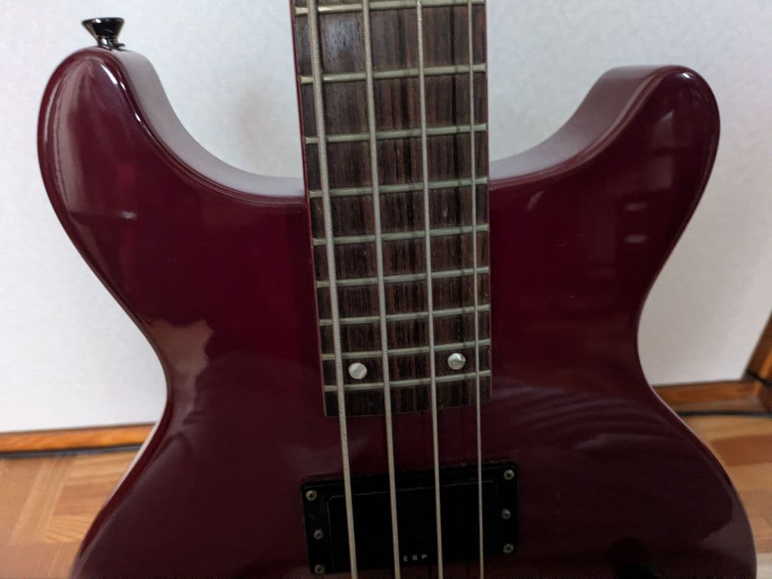 ア*ダ様 ベース　LUNA SEA J Signature Model