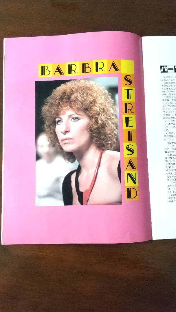 映画  パンフレット   メーンイベント