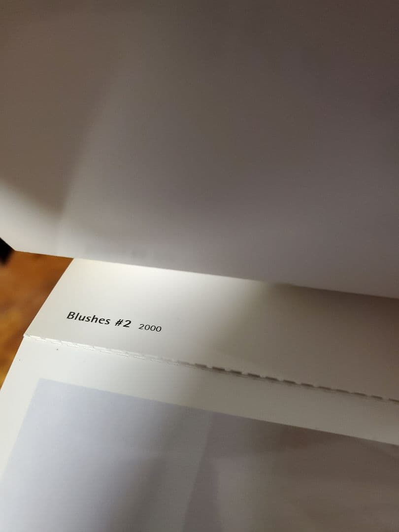アート・デザイン・音楽 Wolfgang Tillmans SNAP ART COLLECTION 3