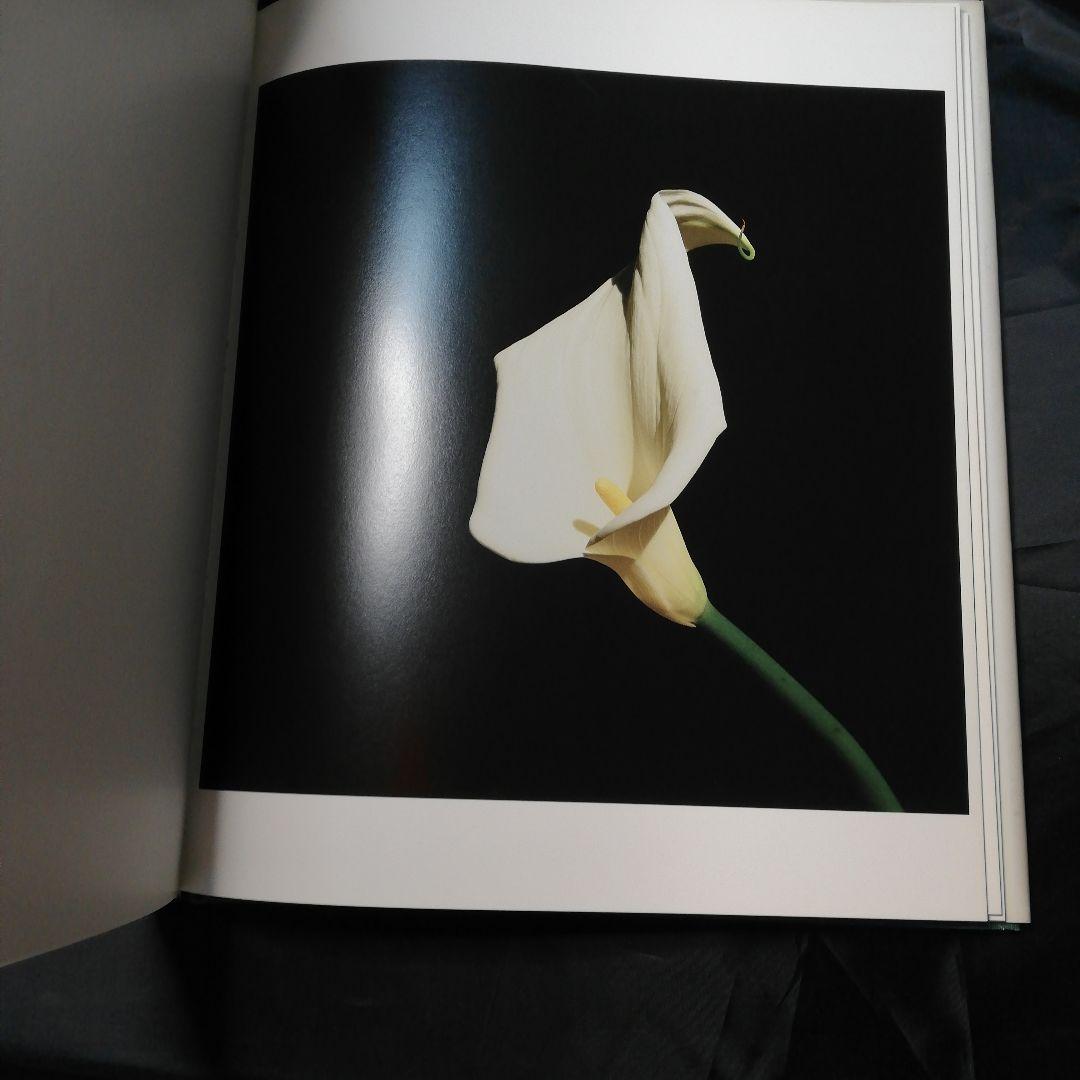FLOWERS MAPPLETHORPE/ロバート·メイプルソープ　写真集　花