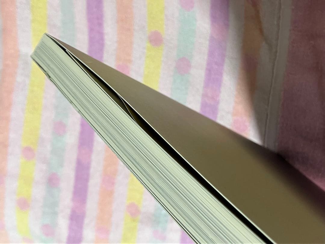◆最終価格　画集　絵画　芸術　アート　美術　図録　ロシア絵画　東ヨーロッパ　東欧