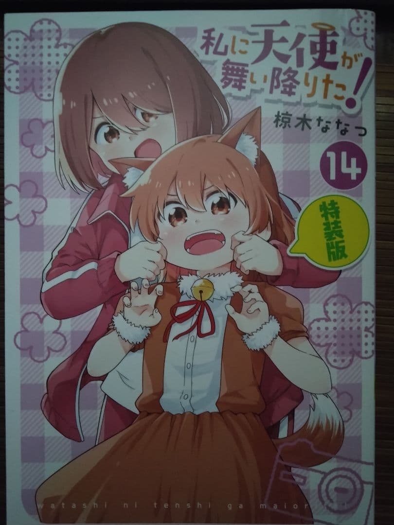 私に天使が舞い降りた! 1ー10.12～14巻