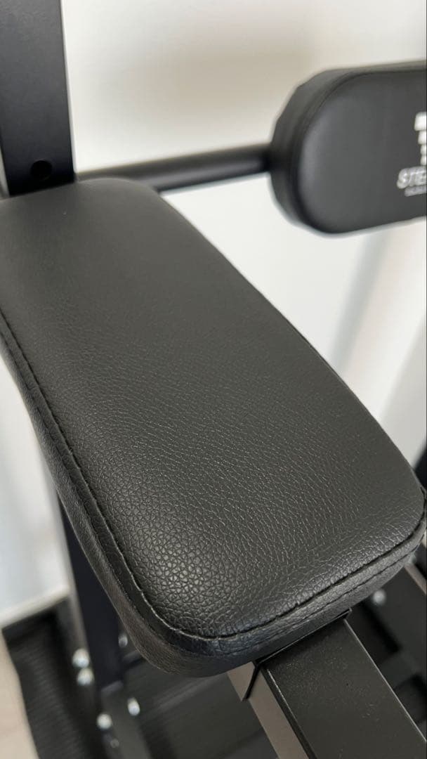【美品】※直接引取り限定 STEADY 懸垂マシンブラック 10段階調整