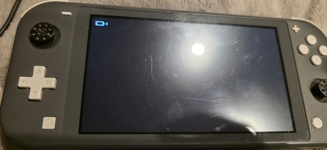 Switchライト グレー