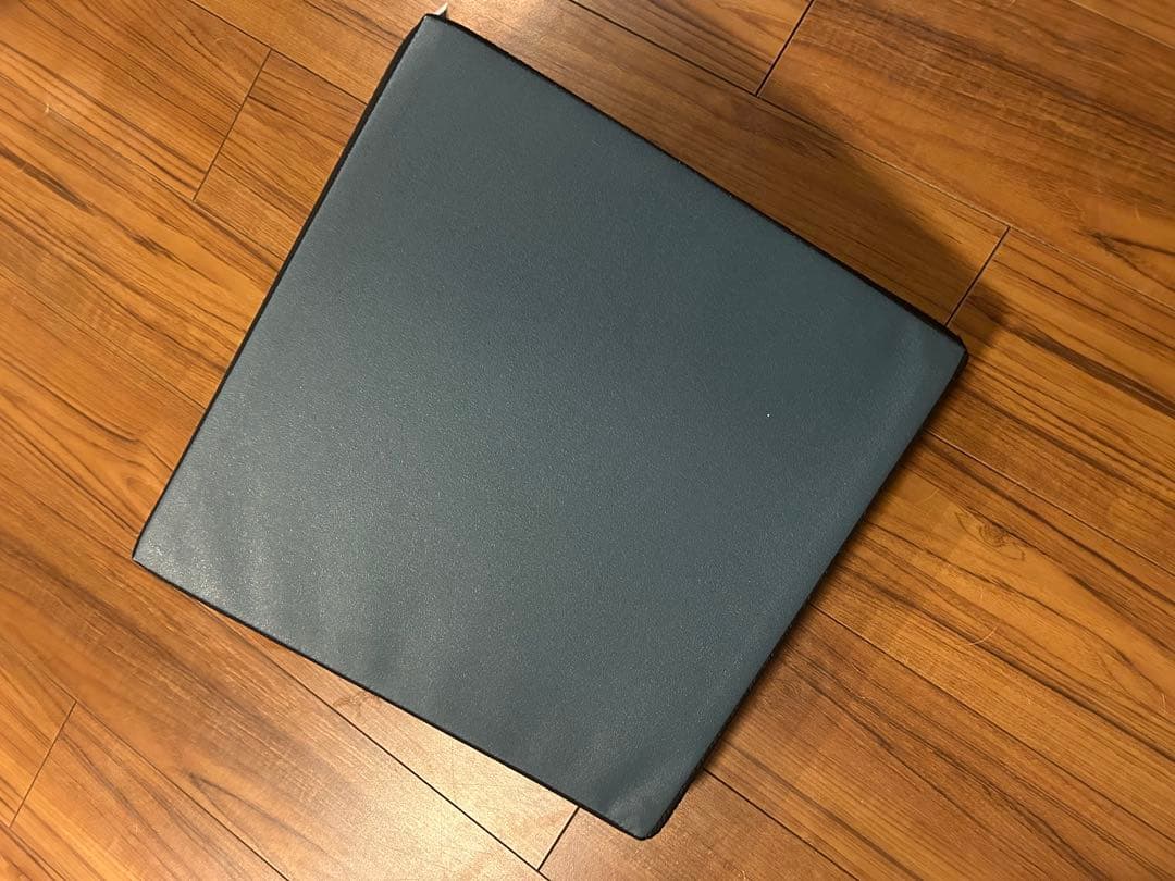サンテプラス　フレックスクッション（本体のみ）