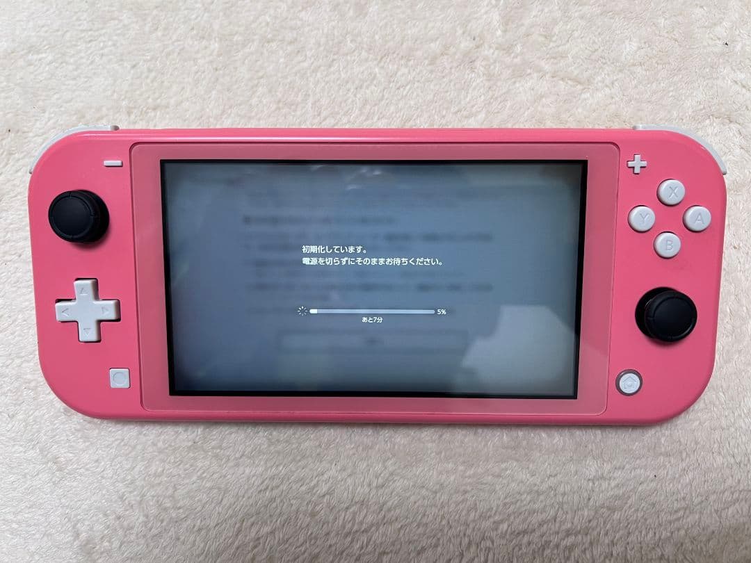 Nintendo Switch Lite 本体 バッテリー スティック交換済み