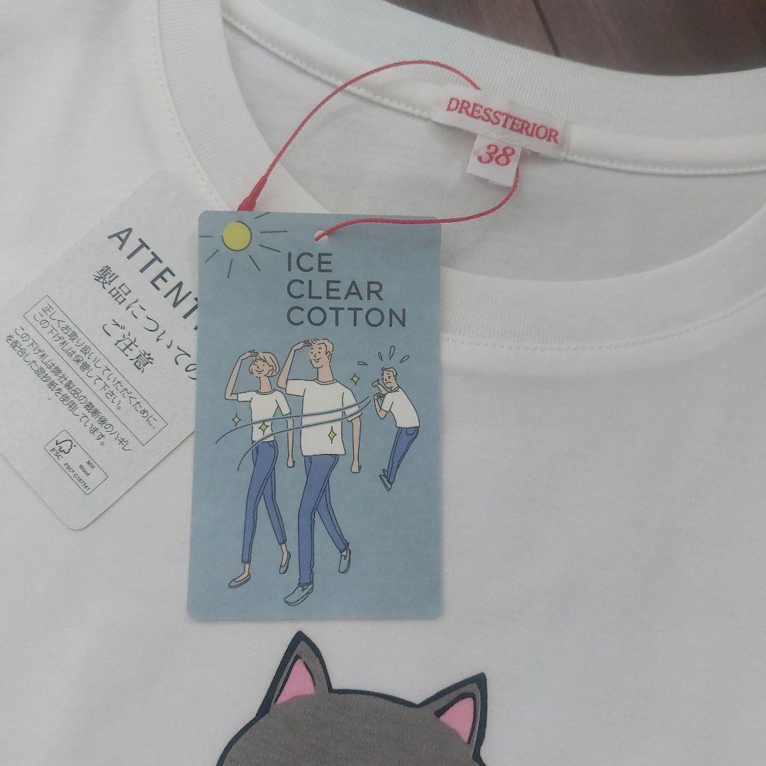 も*み様 DRESSTERIOR 猫イラスト Tシャツ 38