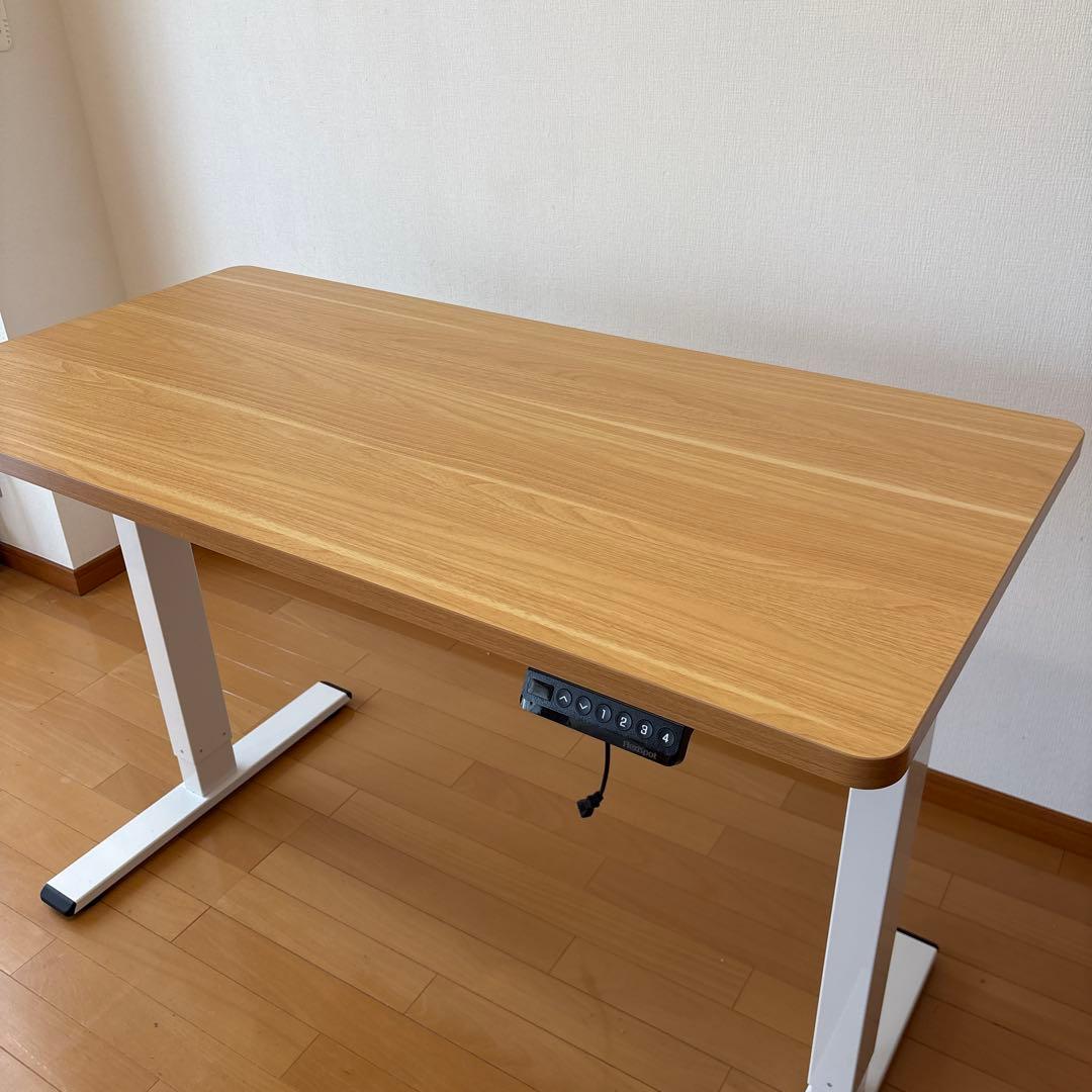 【2/22で処分予定】 Flexispot EF1 120cmx60cm送料込み