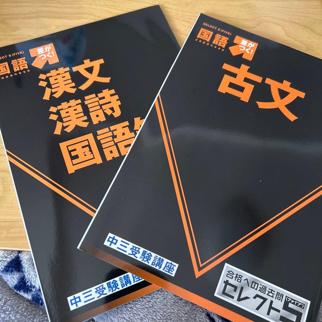 進研ゼミ中三受験講座「差がつく問題集」5教科10冊セット＋長野県入試過去問題集