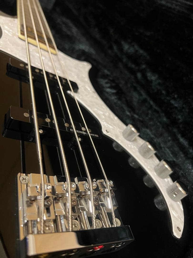 ESP RF-00 the GazettE REITAモデル 純正ハードケース付