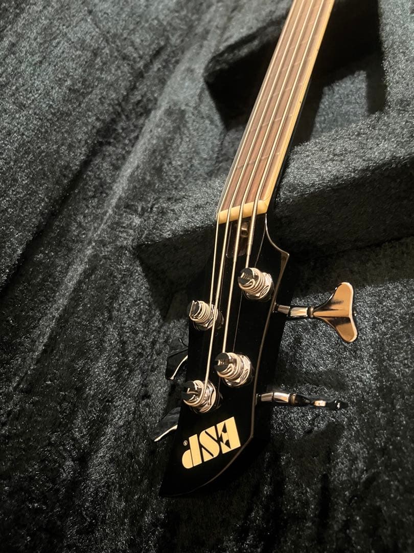 ESP RF-00 the GazettE REITAモデル 純正ハードケース付
