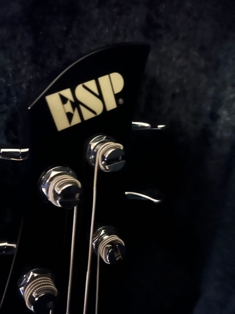 ESP RF-00 the GazettE REITAモデル 純正ハードケース付