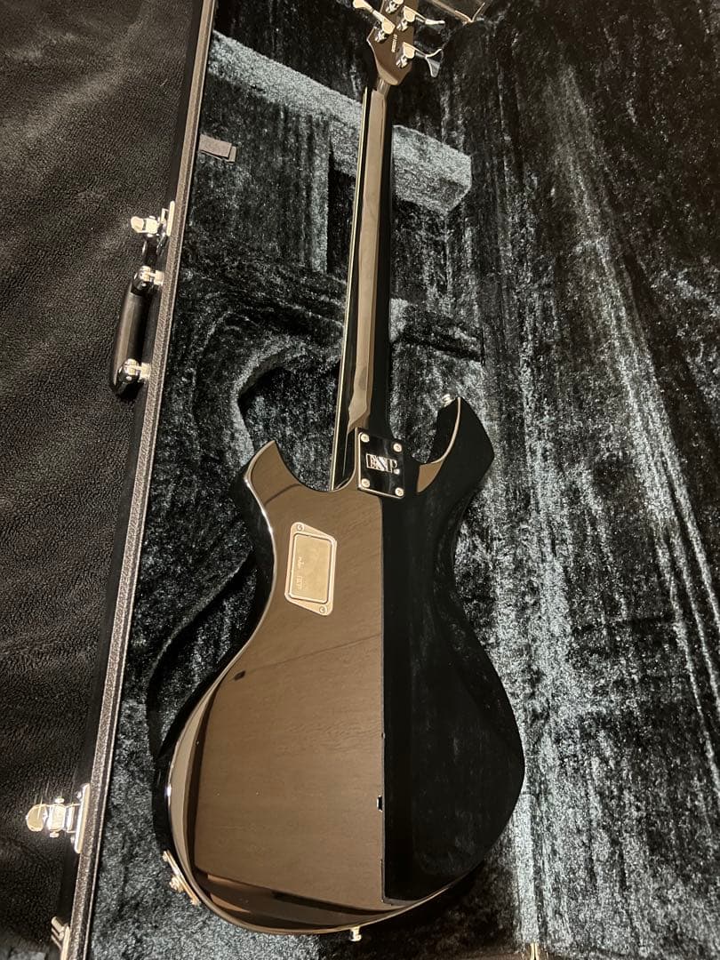 ESP RF-00 the GazettE REITAモデル 純正ハードケース付