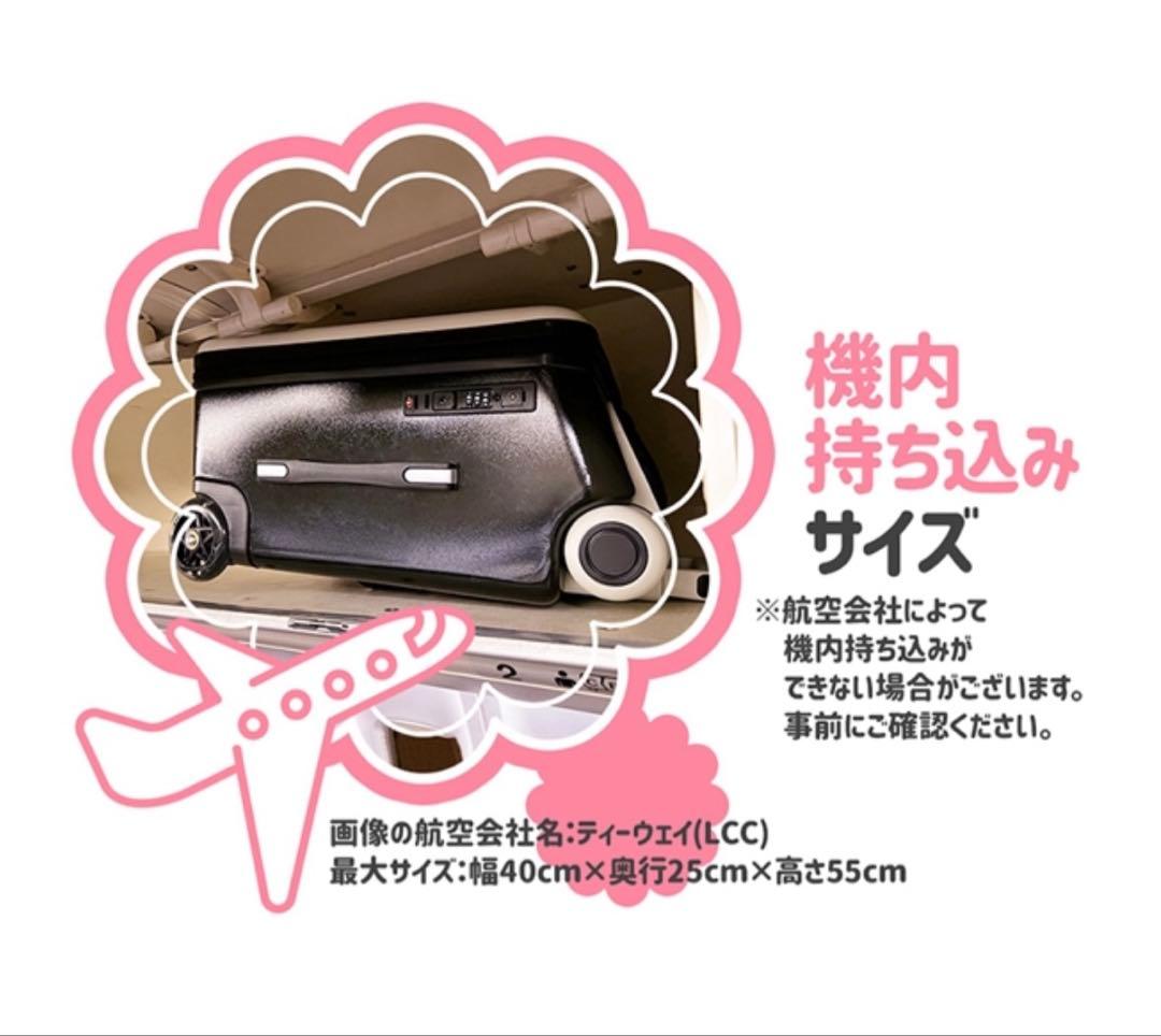 分離式キャリーケース 子供が乗れるキャリーケース