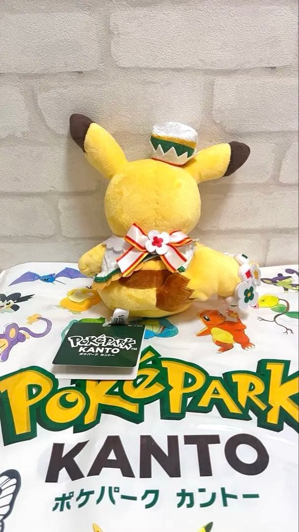 ポケパークカントー 限定ピカチュウ ぬいぐるみ