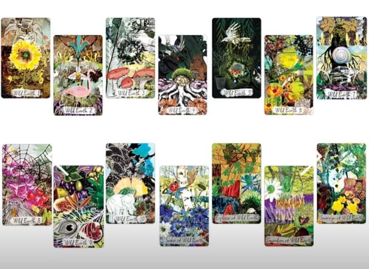 【超希少・初版限定ナンバー入 タロット】Tarot Gallimaufry