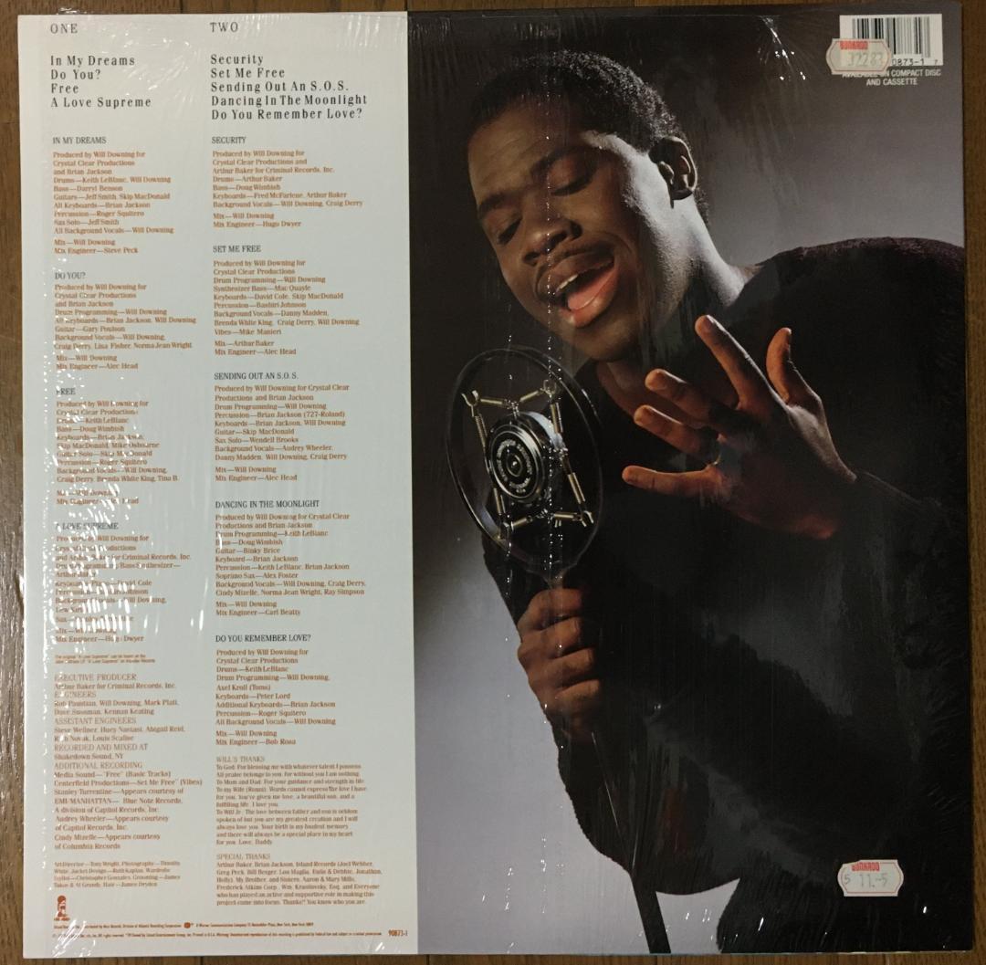 希少盤美品『ウィル・ダウニング（Will Downing）』輸入盤LPレコード