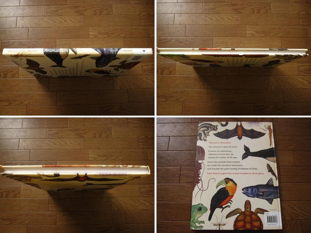 アート・デザイン・音楽 Animalium: Welcome to the Museum