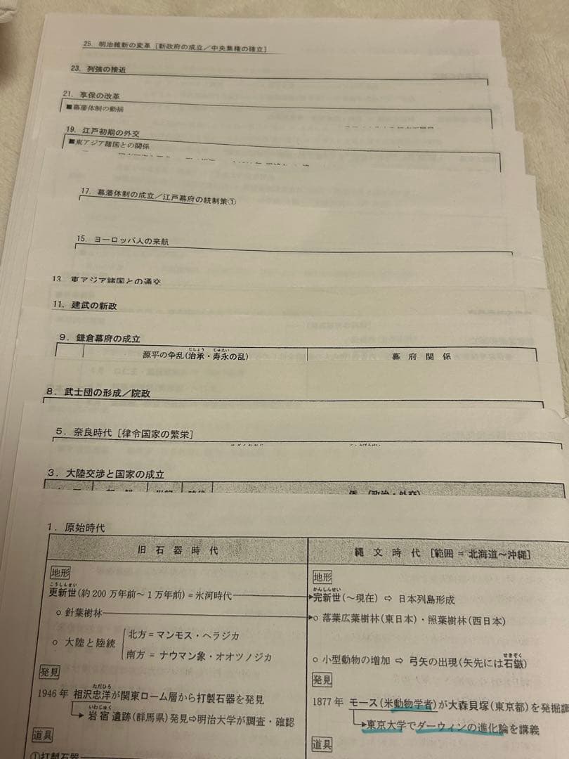 坂本勝義 河合塾 日本史 通史・文化史・テーマ史全プリント
