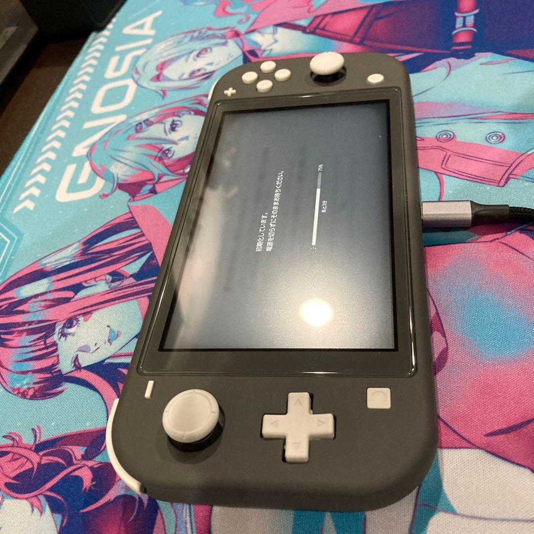 Nintendo Switch Lite グレー