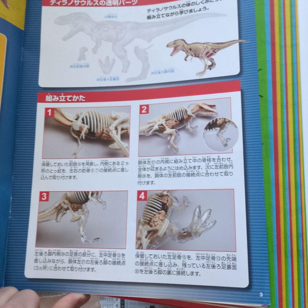 体のふしぎ 八冊セットとその他グッズ 10万円以上使われてると思います