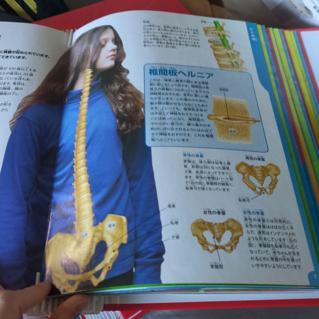 体のふしぎ 八冊セットとその他グッズ 10万円以上使われてると思います