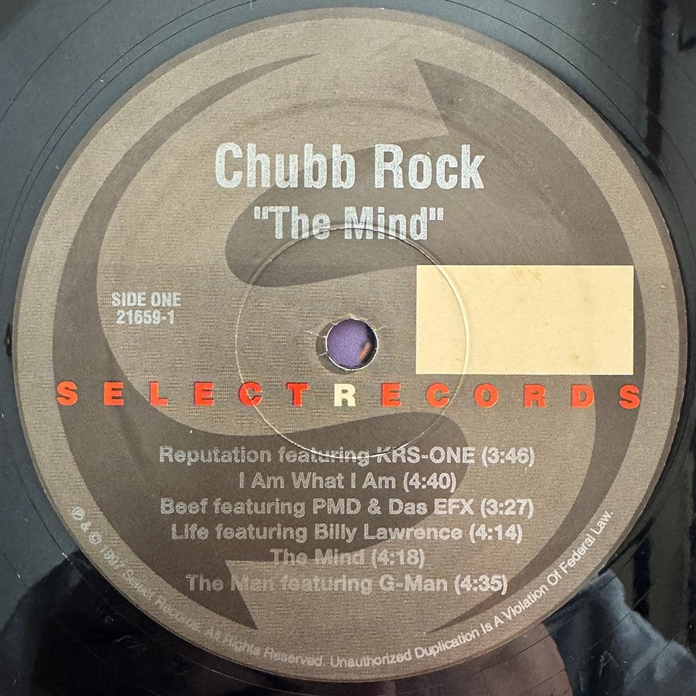 洋楽 Chubb Rock / The Mind