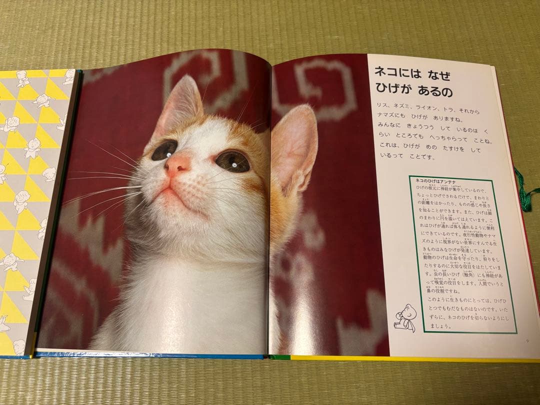 【美品】家庭保育園　なぜなにブック　全22巻セット