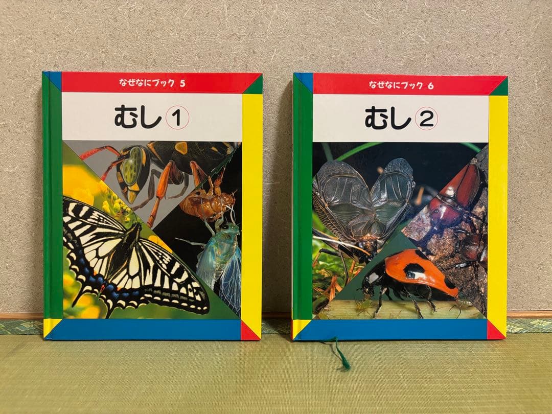 【美品】家庭保育園　なぜなにブック　全22巻セット