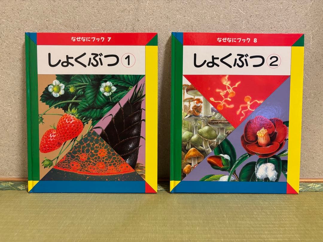 【美品】家庭保育園　なぜなにブック　全22巻セット