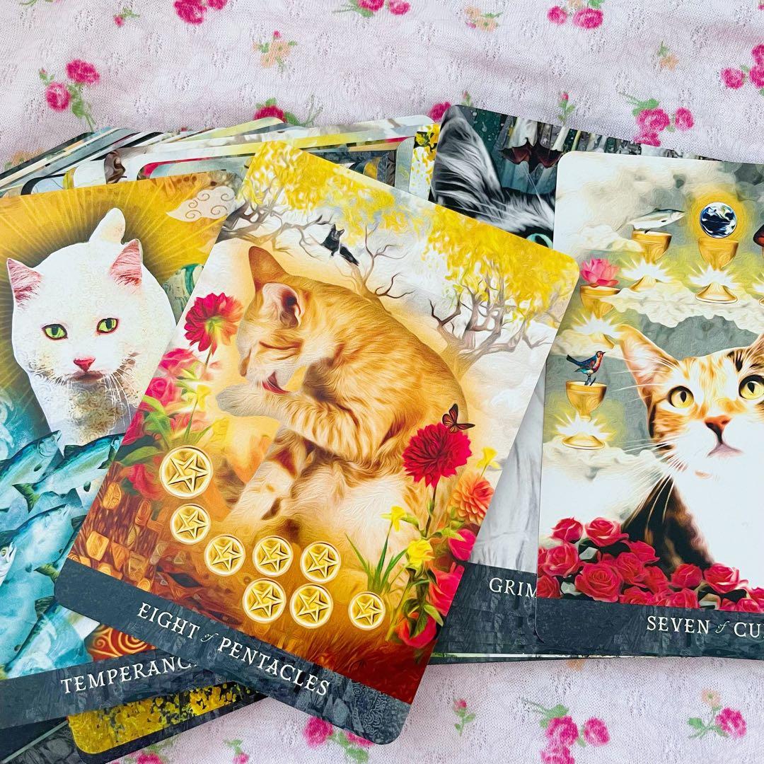 日本未入荷✨ほぼ未使用✨正規品✨猫タロット✨1点のみ