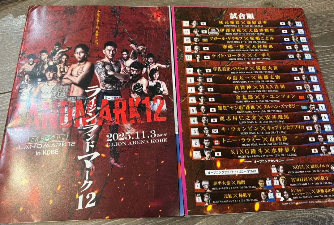 ⭐︎RIZIN⭐︎神戸大会の付録⭐︎