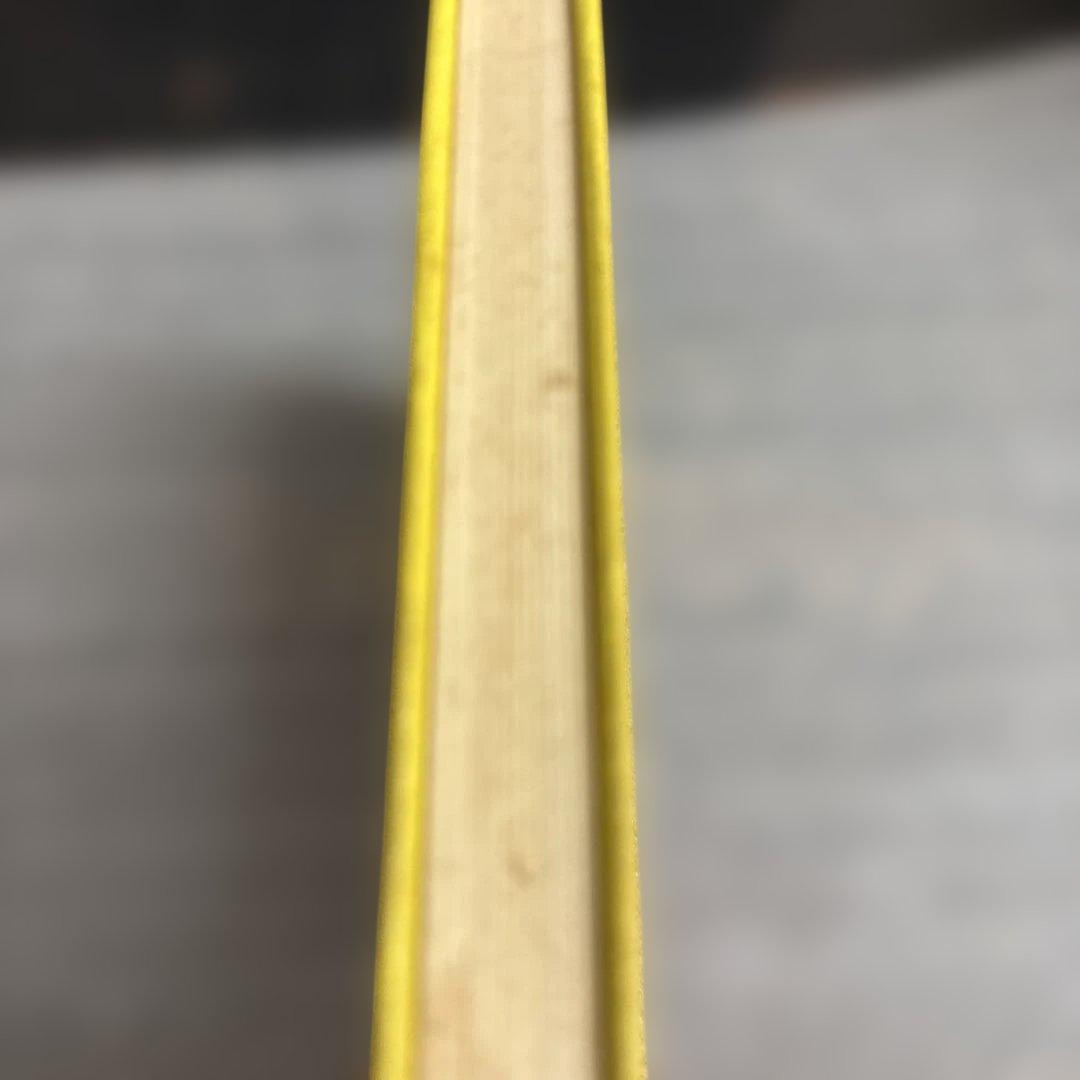 吉増剛造　黄金詩篇