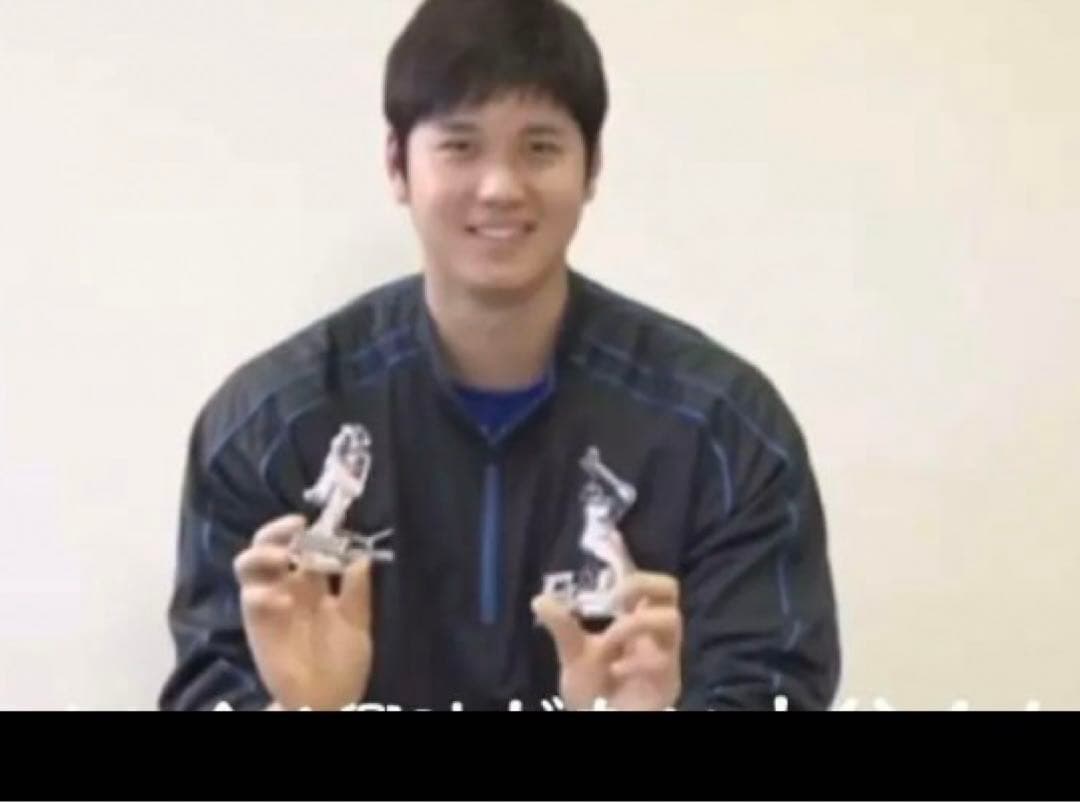 限定セールフィギュア北海道日本ハムファイターズ 大谷翔平投手三冠への軌跡DVD