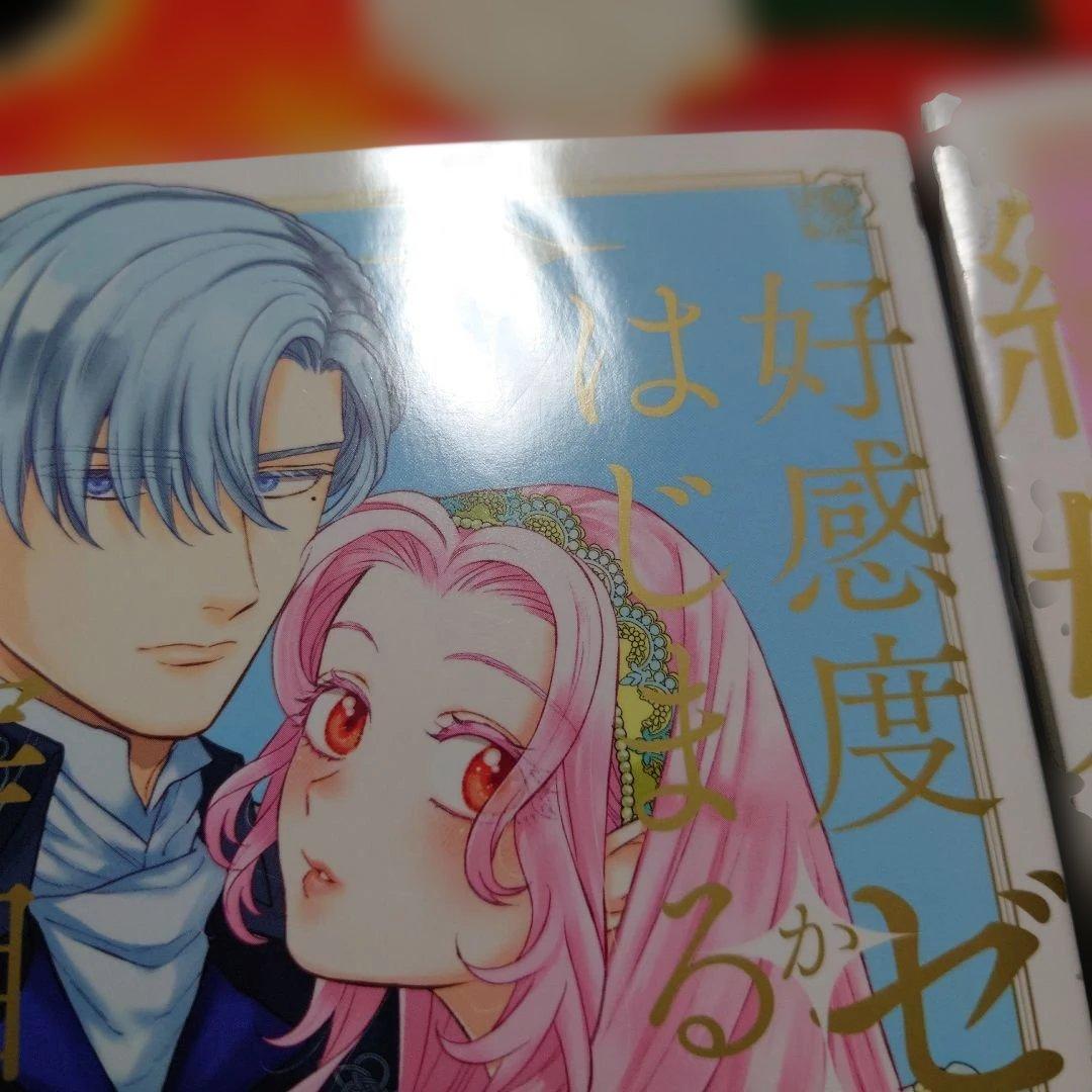 ゆぅ　東リべグッズと本処分‼️！好感度ゼロからはじまる宰相閣下との結婚