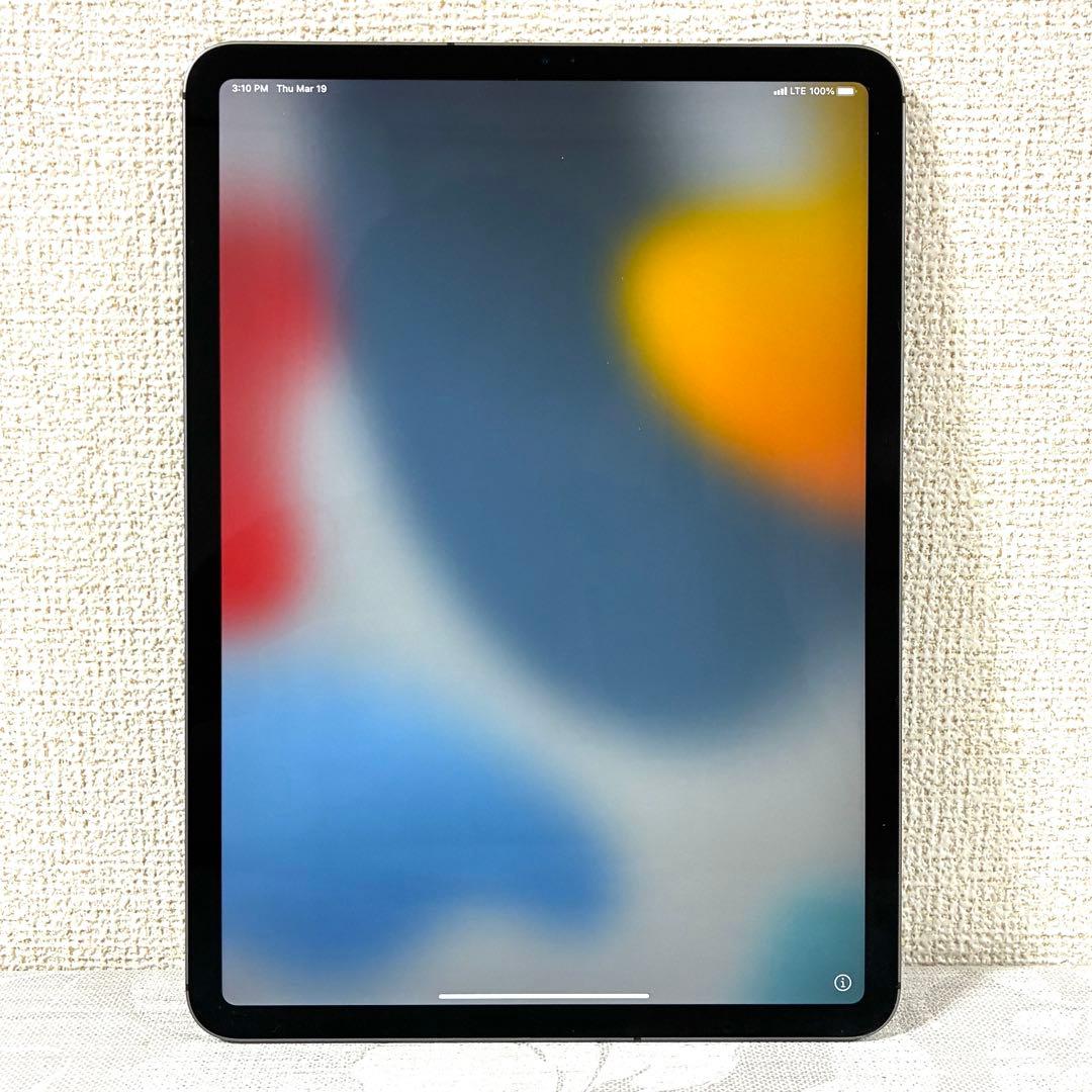 美品 Apple iPad Pro 11インチ 第1世代 64GB 本体のみ