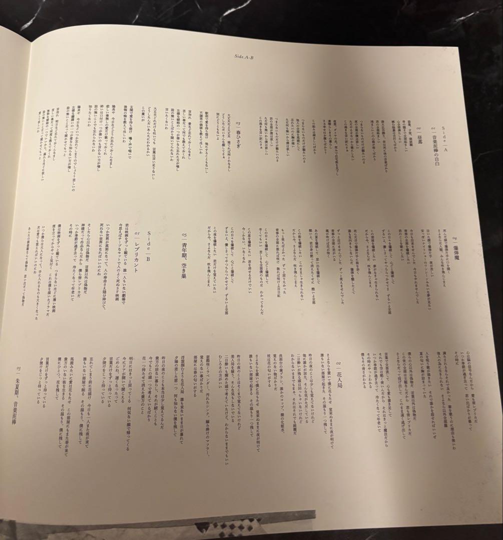 ヨルシカ　盗作　レコード　LP 美品