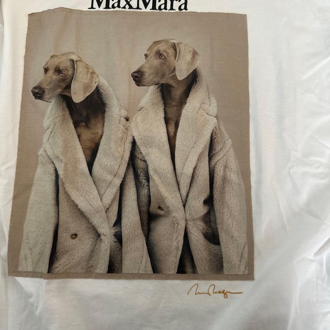 MaxMara 犬プリント Tシャツ 新品