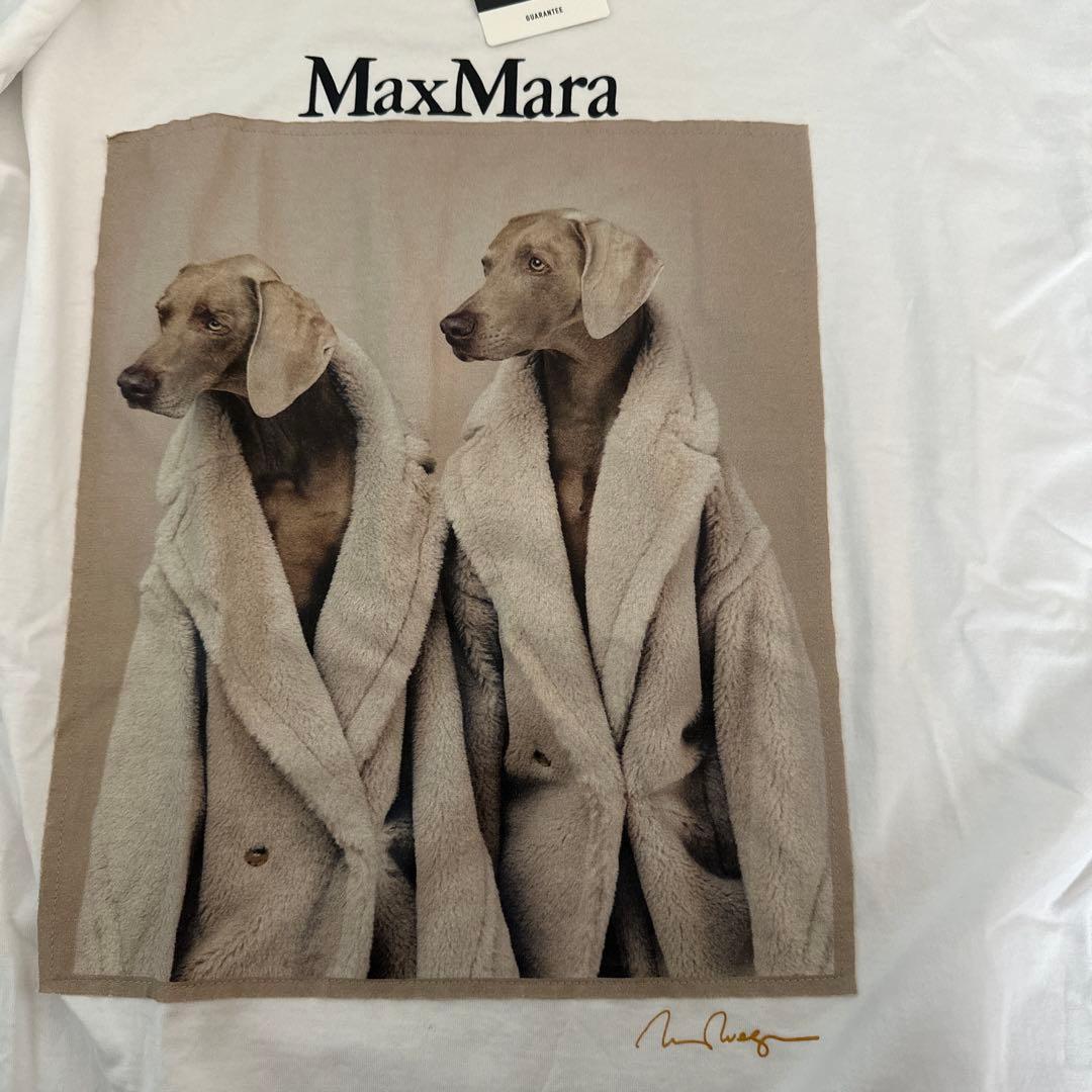 MaxMara 犬プリント Tシャツ 新品