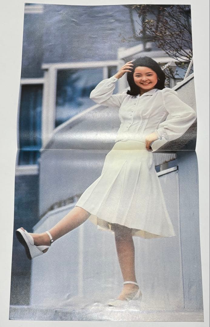 「テレサ・テンセカンドアルバム 夜の乗客/女の生きがい」 レコード LP 鄧麗君