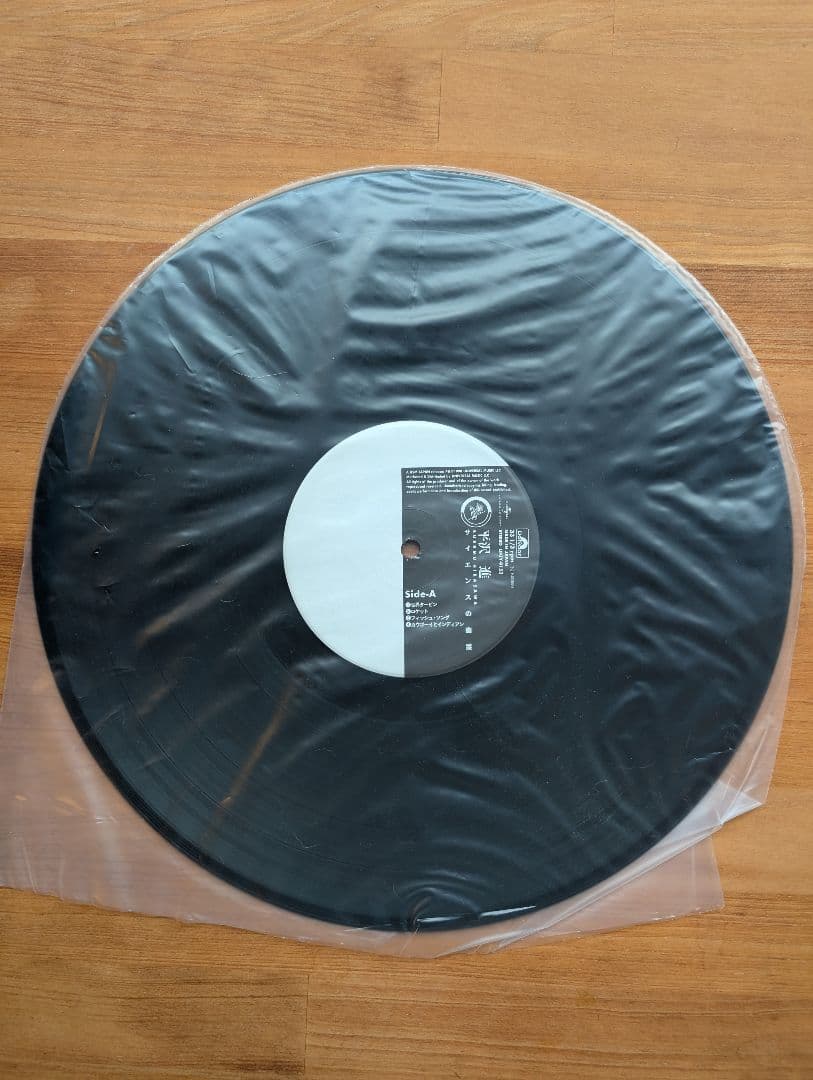 平沢進 サイエンスの幽霊 レコード　LP