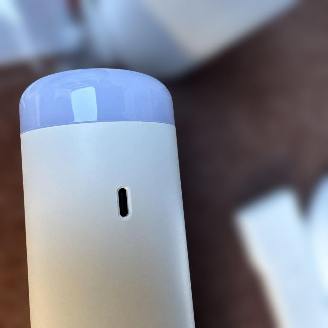raycop MOBI スティッククリーナー 本体