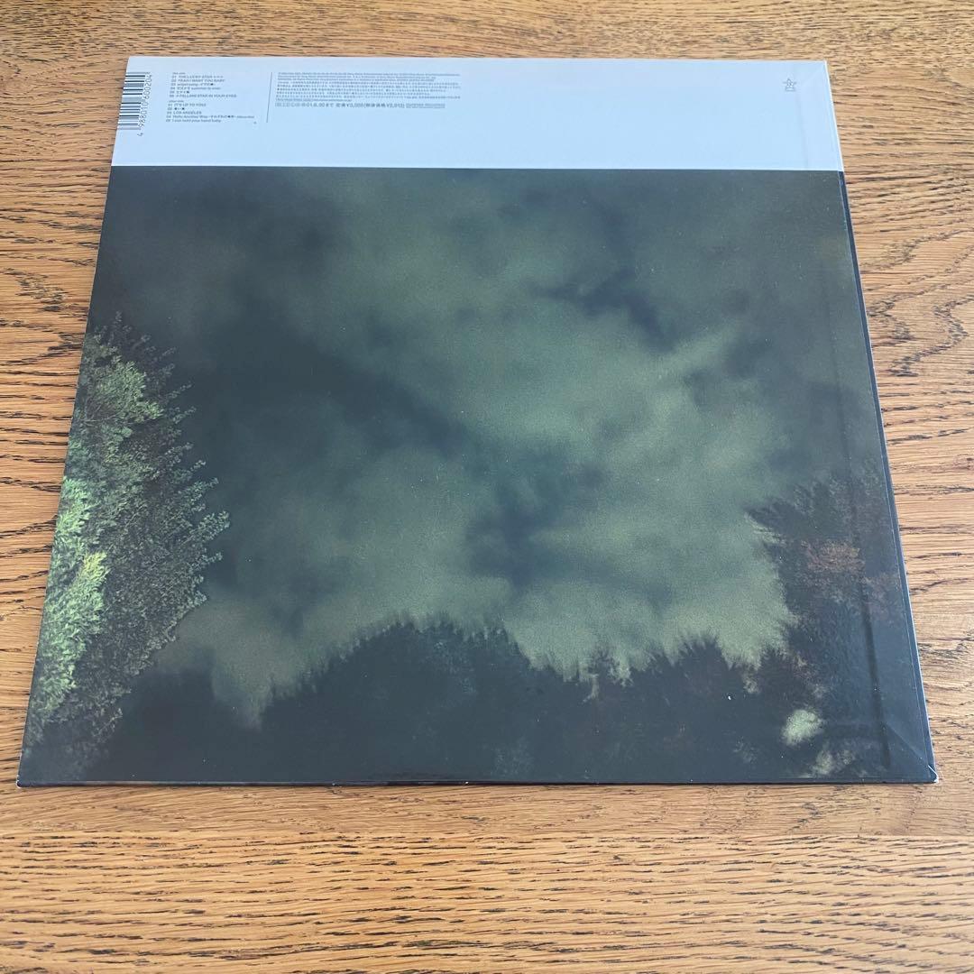 the brilliant green LPレコード2枚セット